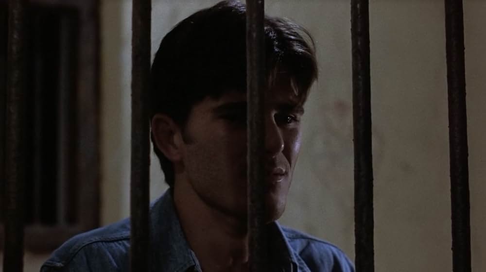 ハリー奪還の画像