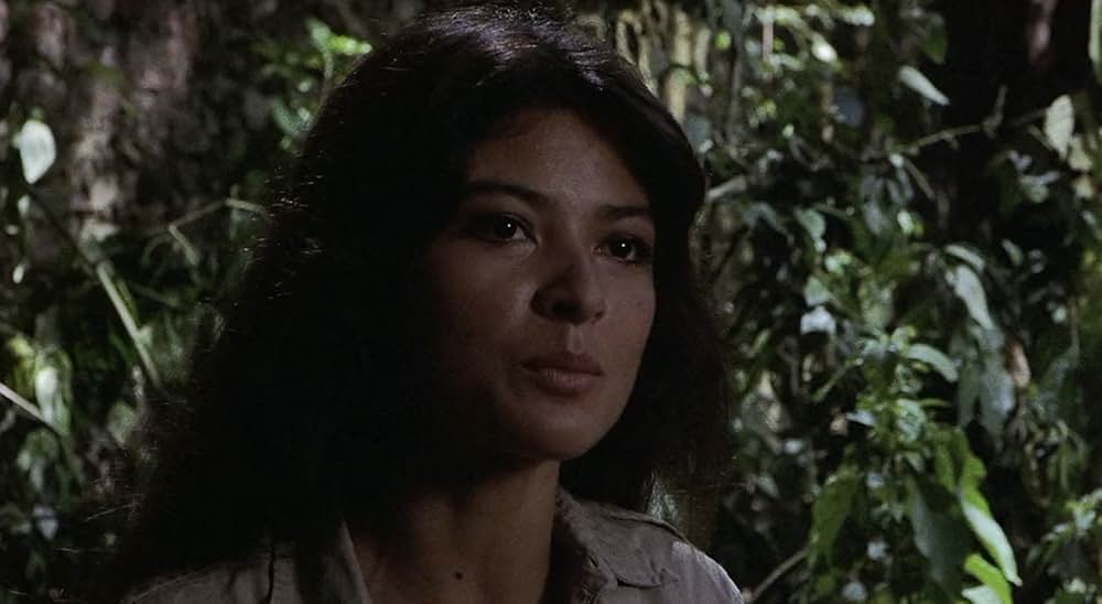 ハリー奪還の画像