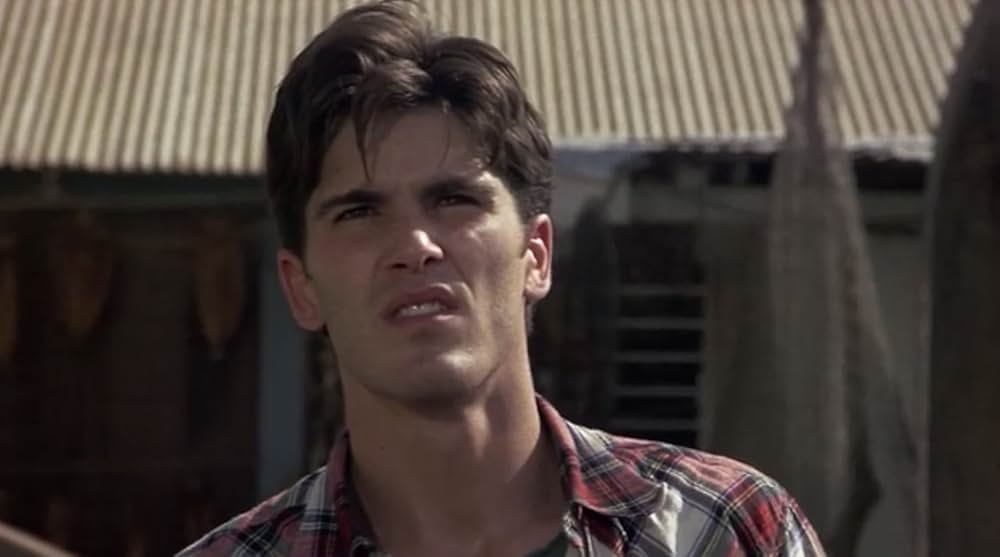 ハリー奪還の画像