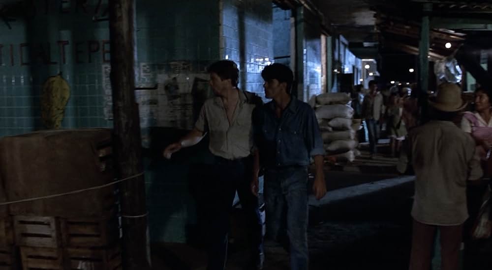 ハリー奪還の画像