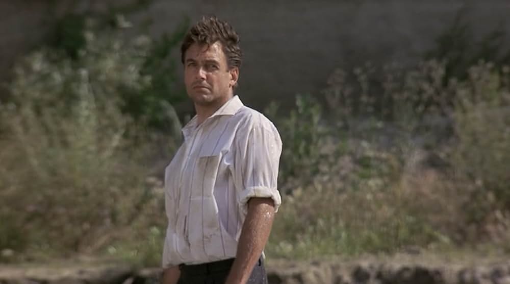 ハリー奪還の画像