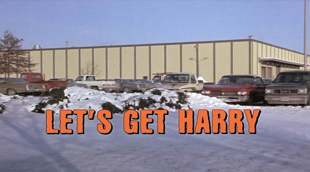 ハリー奪還の画像