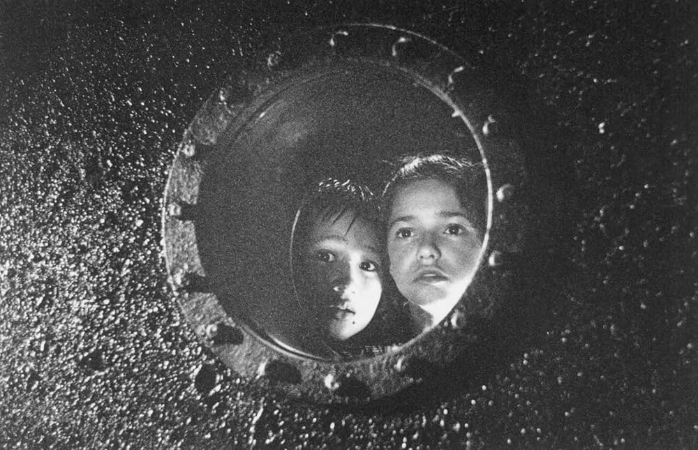 マジック・ダイナソーの画像