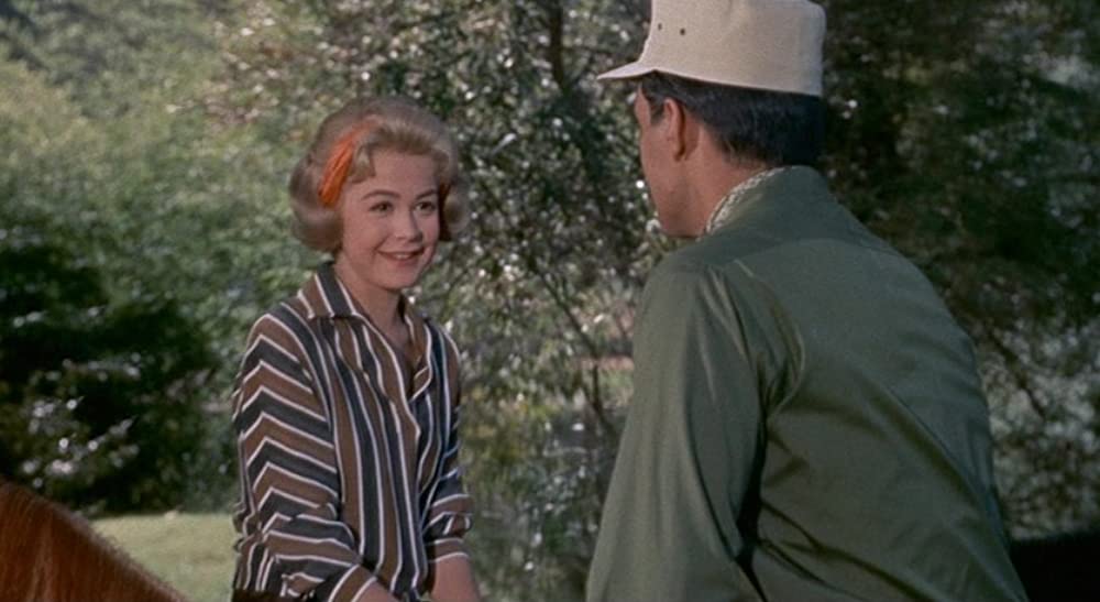 悲しみは空の彼方にの画像