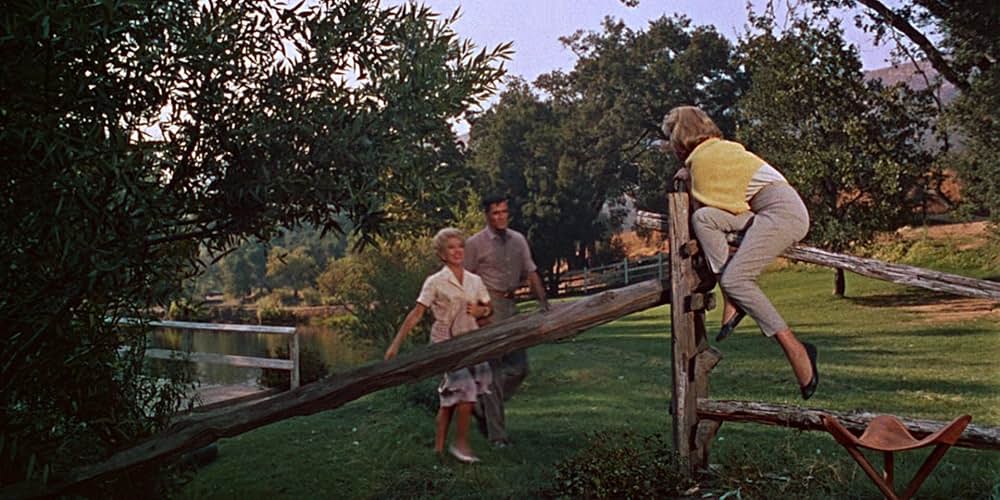 悲しみは空の彼方にの画像