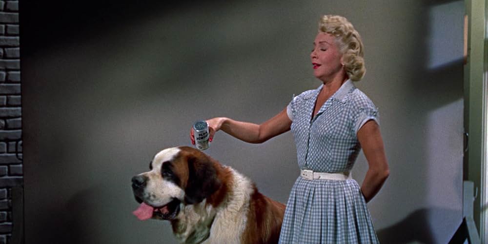 悲しみは空の彼方にの画像