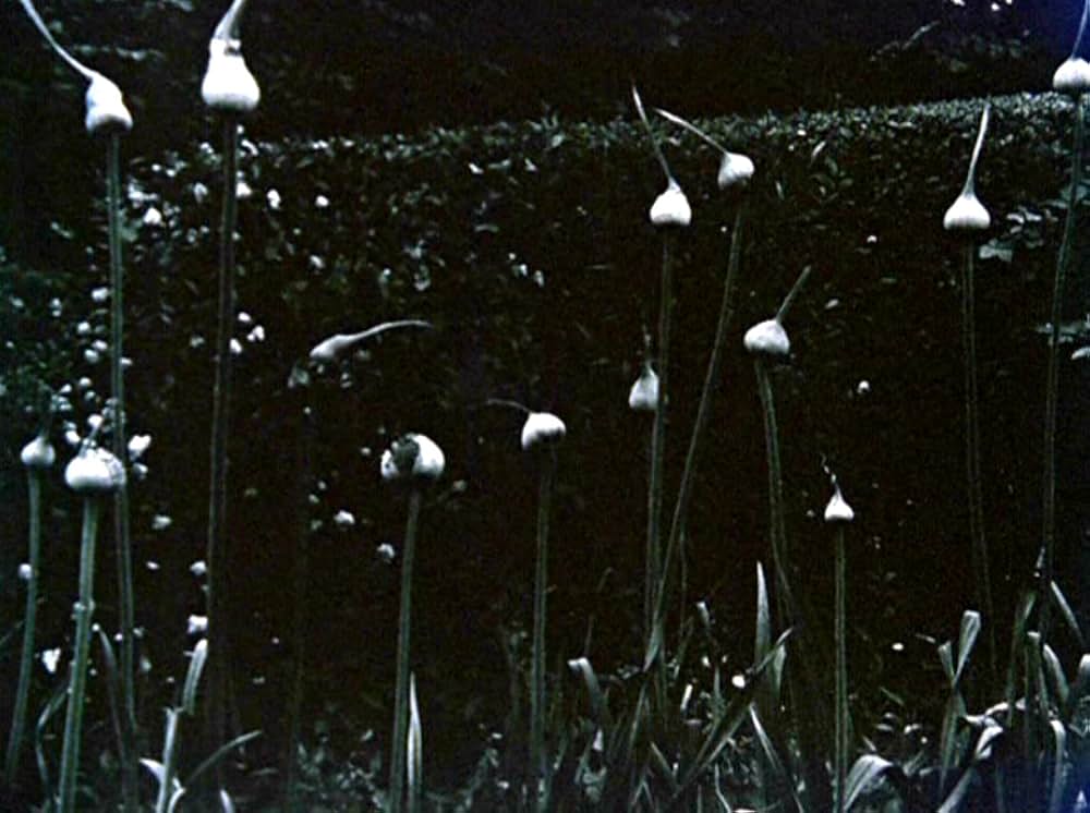 VERTICAL FEATURES REMAKEの画像