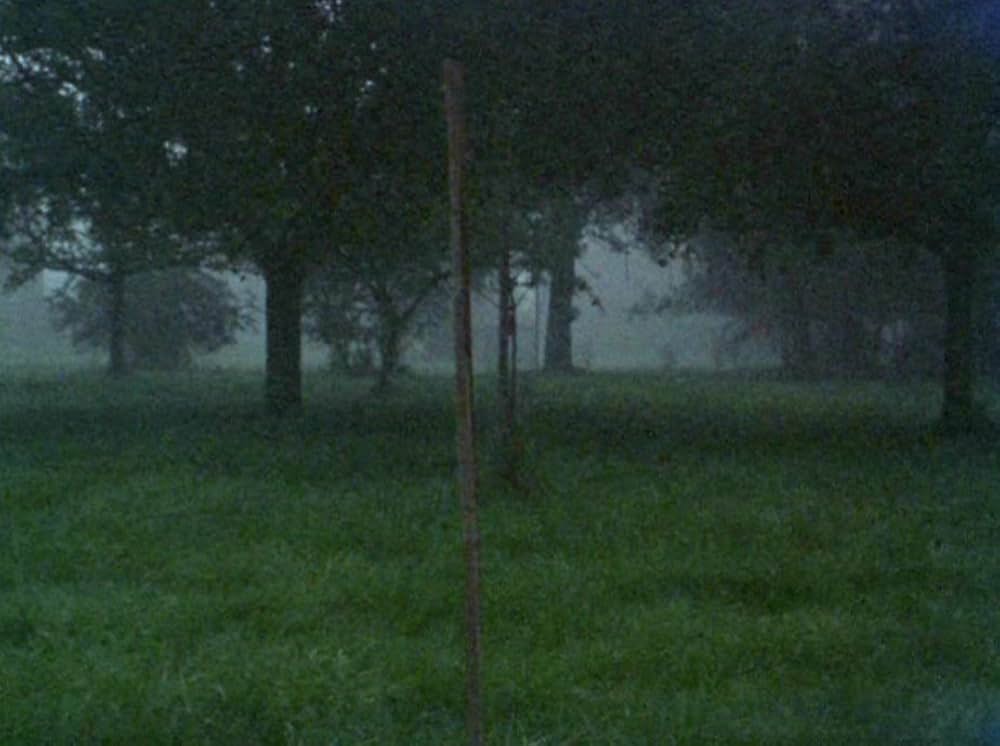 VERTICAL FEATURES REMAKEの画像