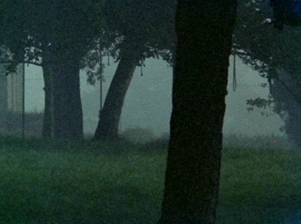 VERTICAL FEATURES REMAKEの画像