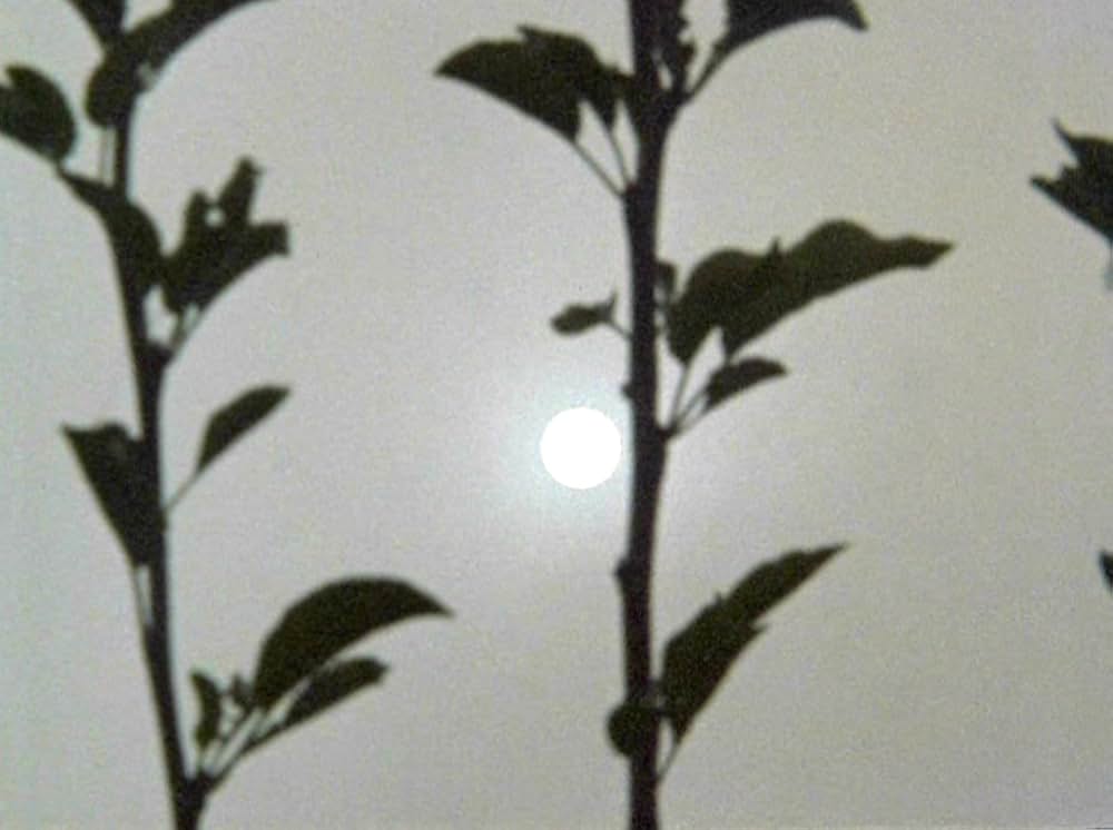 VERTICAL FEATURES REMAKEの画像