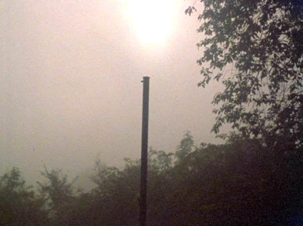 VERTICAL FEATURES REMAKEの画像