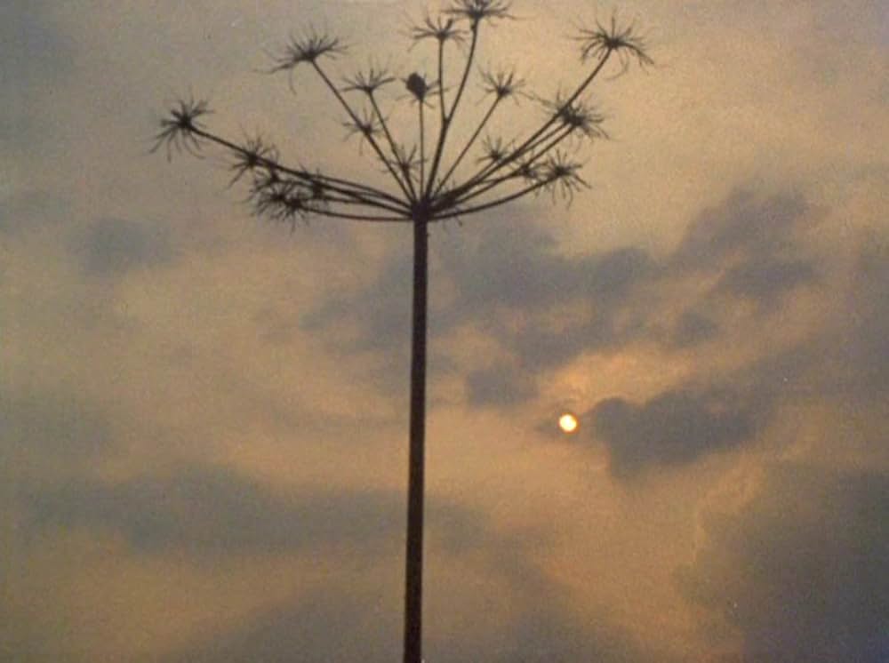 VERTICAL FEATURES REMAKEの画像