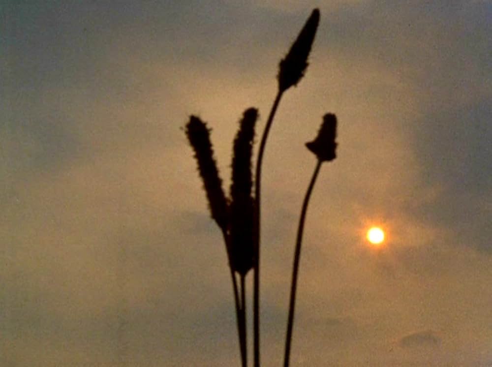 VERTICAL FEATURES REMAKEの画像