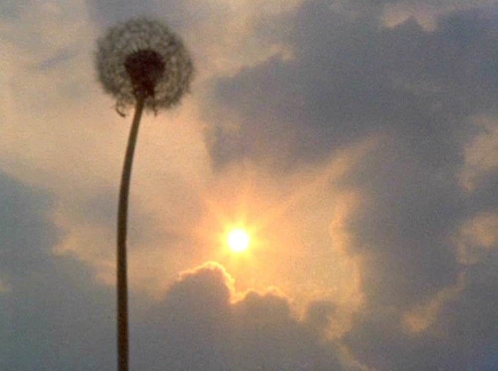 VERTICAL FEATURES REMAKEの画像