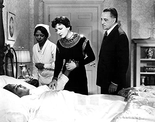 模倣の人生の画像