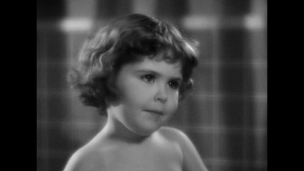 模倣の人生の画像