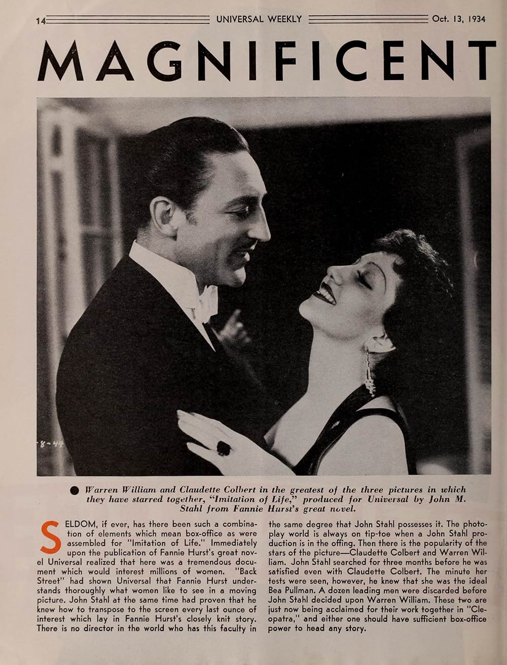 模倣の人生の画像