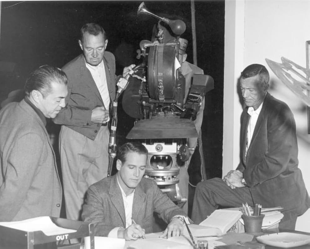 都会のジャングルの画像