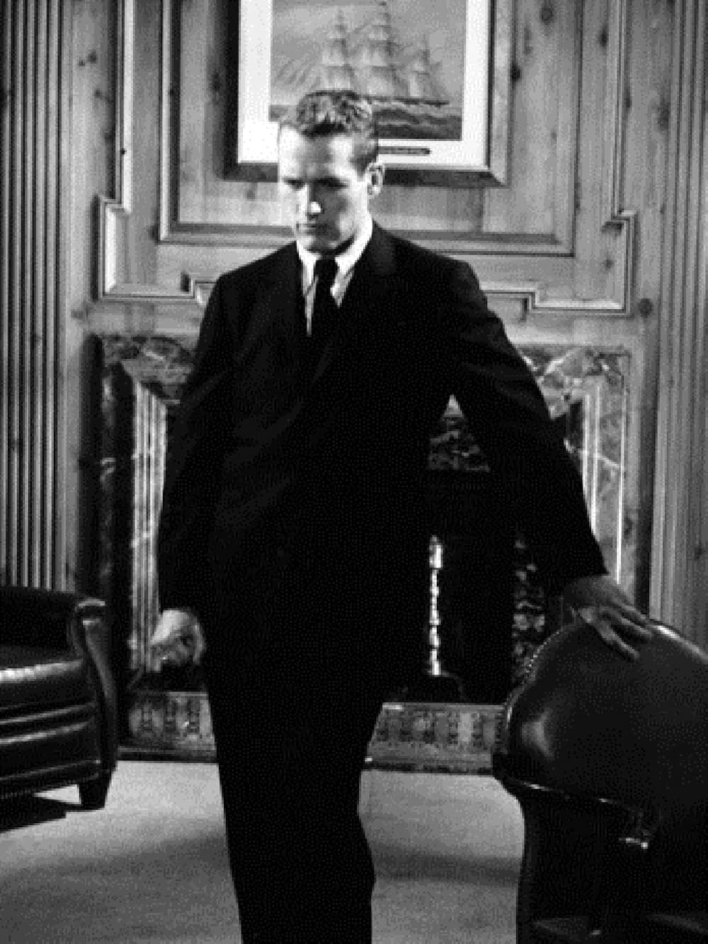 都会のジャングルの画像