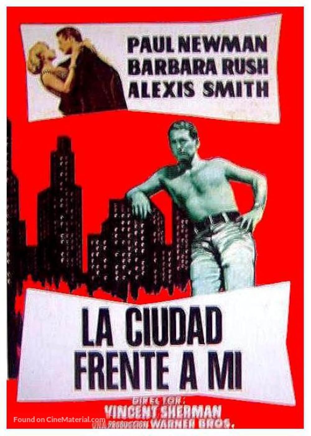 都会のジャングルの画像