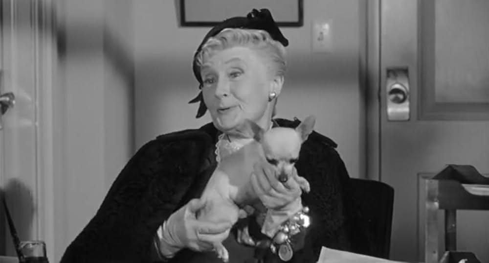 都会のジャングルの画像