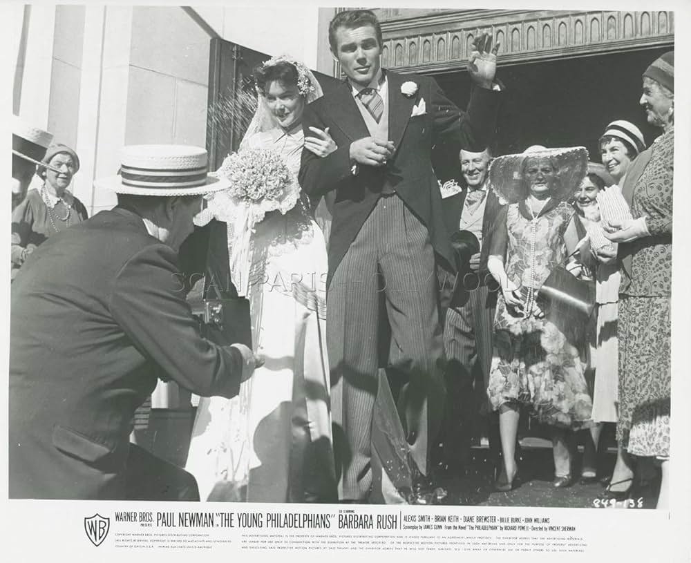 都会のジャングルの画像