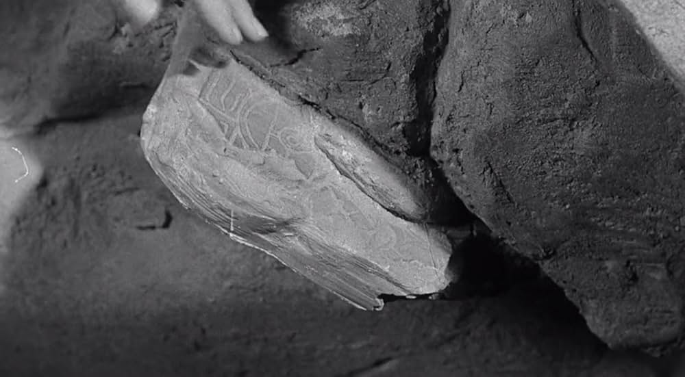 モグラ人間の叛乱の画像