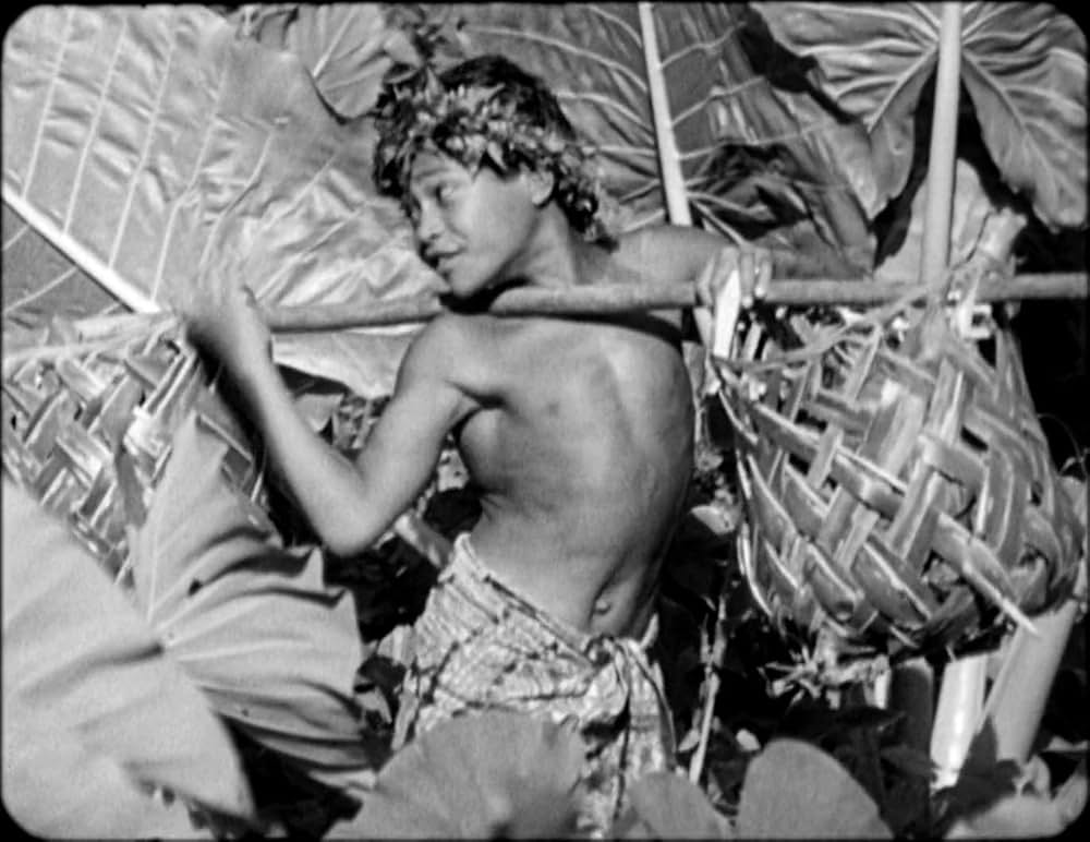 モアナ～南海の歓喜～の画像