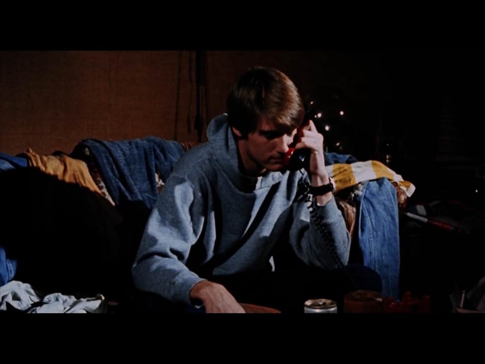 エンゼルターゲットの画像