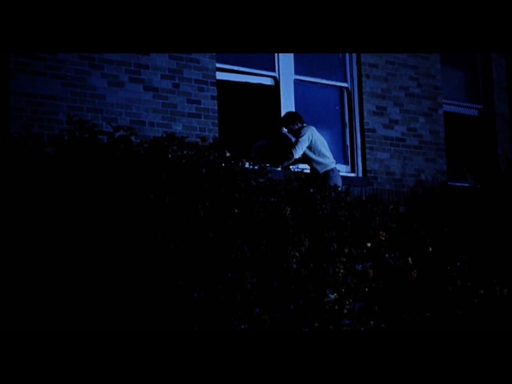 エンゼルターゲットの画像