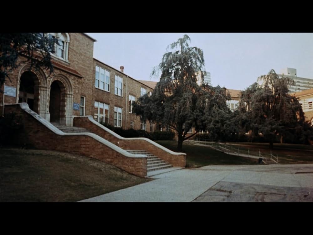 エンゼルターゲットの画像