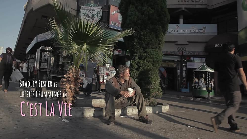 C'est La Vie（原題）の画像