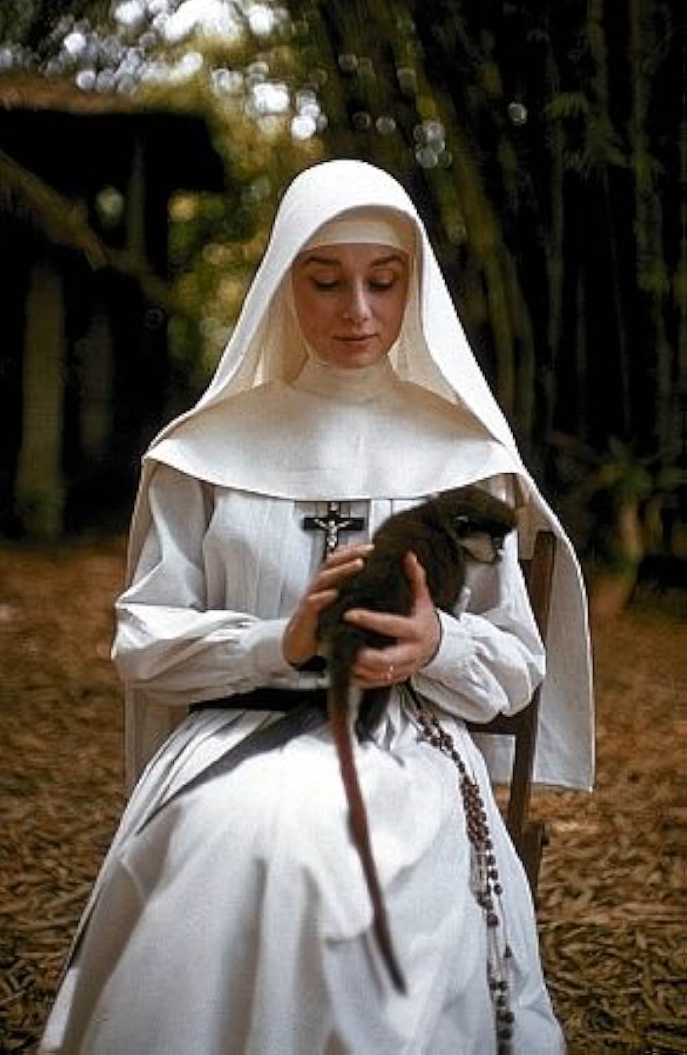 尼僧物語の画像