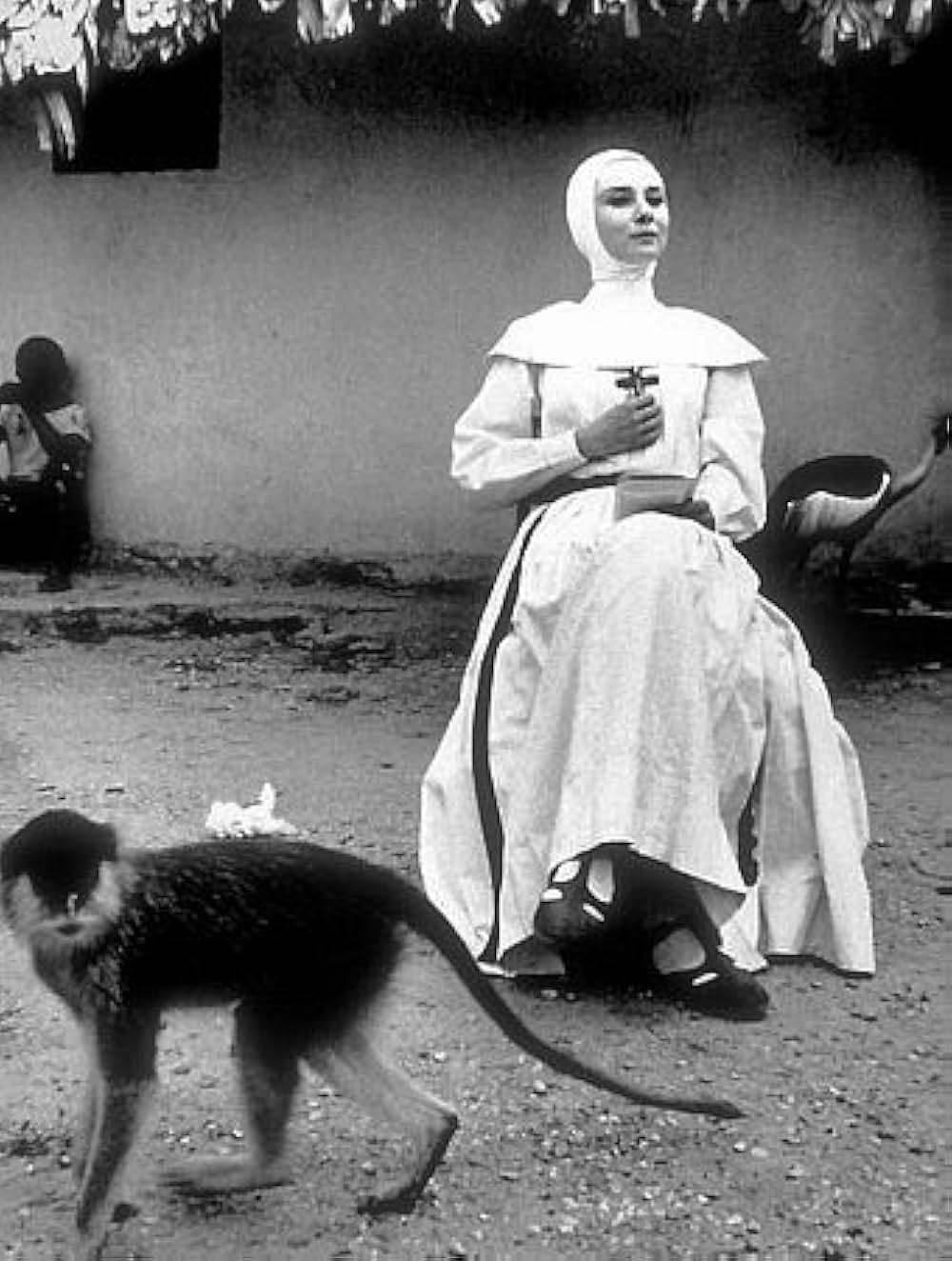 尼僧物語の画像