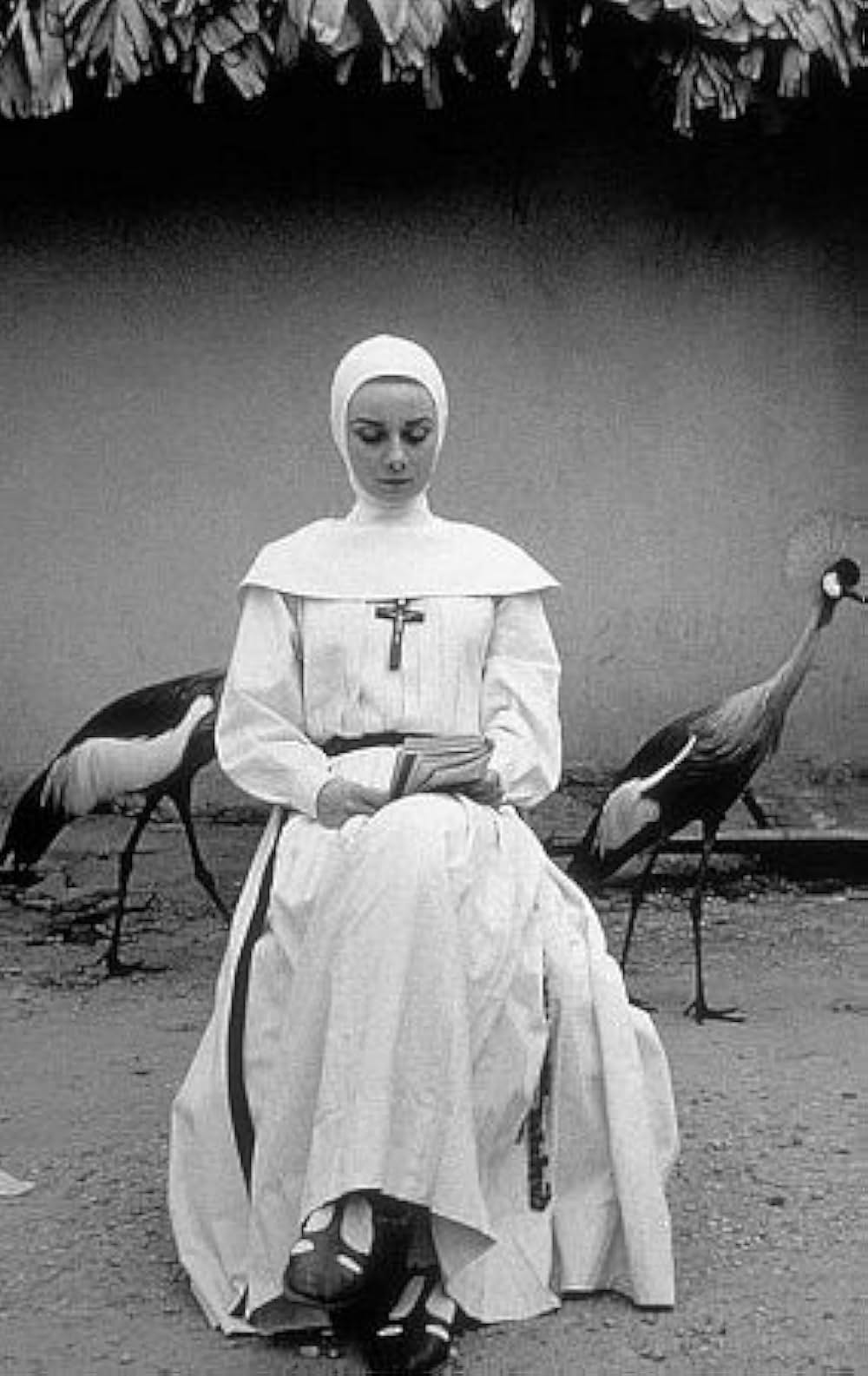 尼僧物語の画像