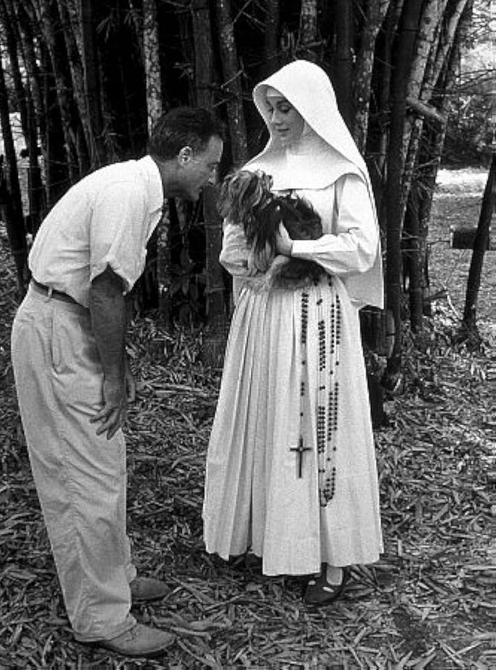 尼僧物語の画像