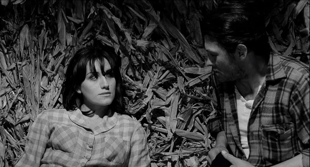 新しい人生の画像