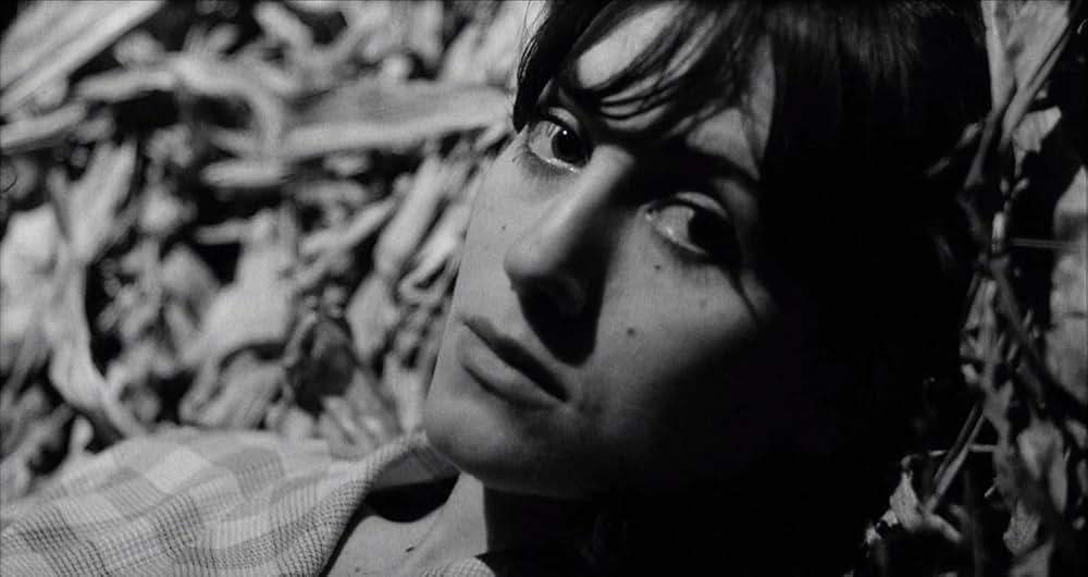 新しい人生の画像