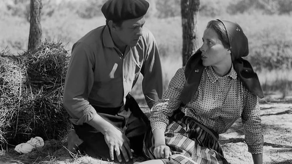 新しい人生の画像