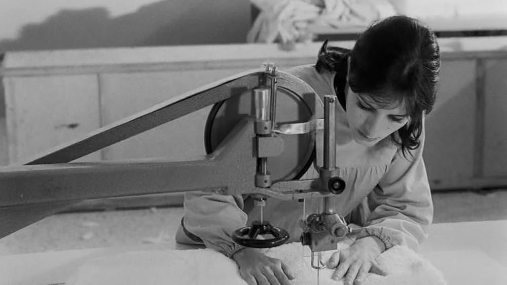 新しい人生の画像