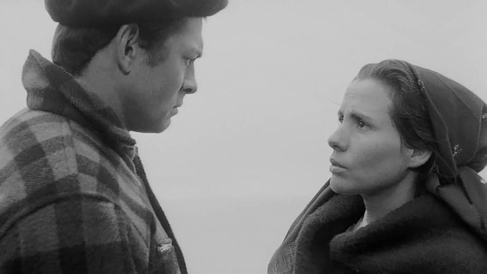 新しい人生の画像