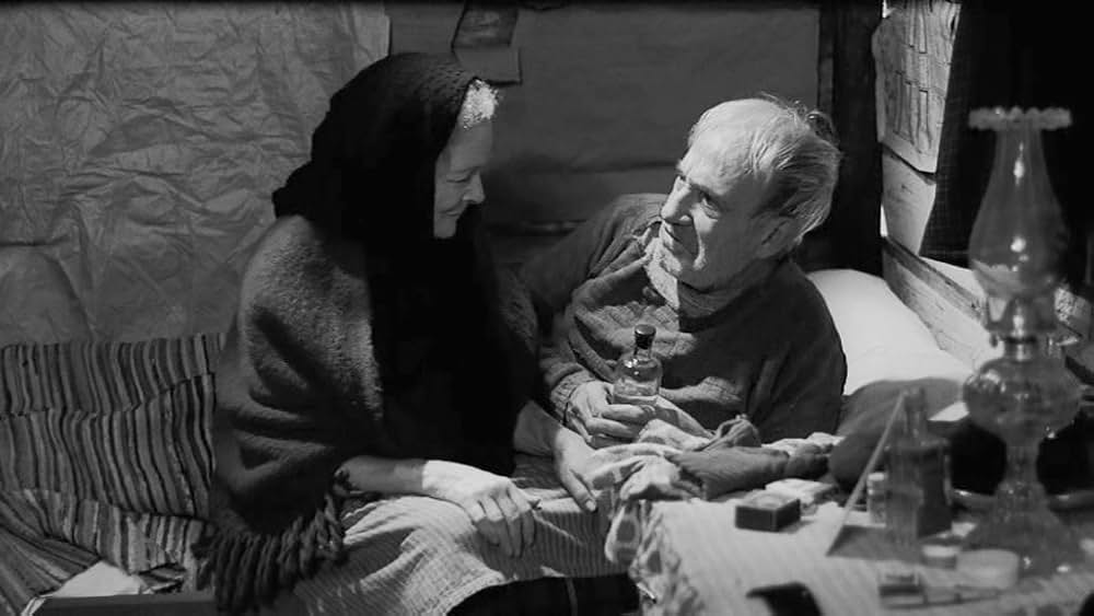 新しい人生の画像