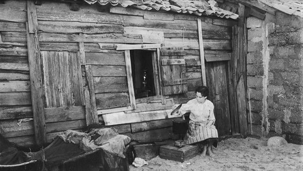 新しい人生の画像