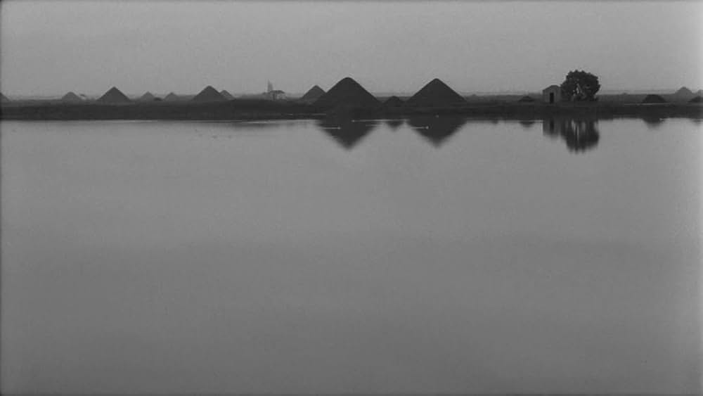 新しい人生の画像