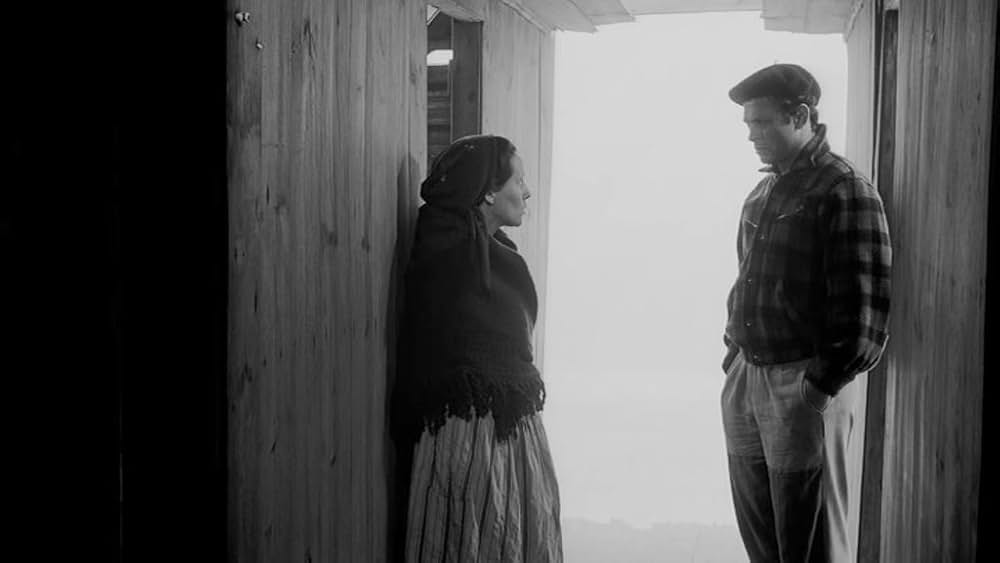 新しい人生の画像