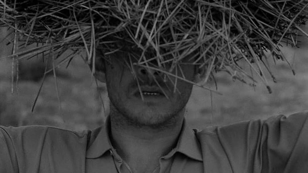 新しい人生の画像