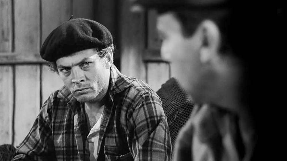 新しい人生の画像