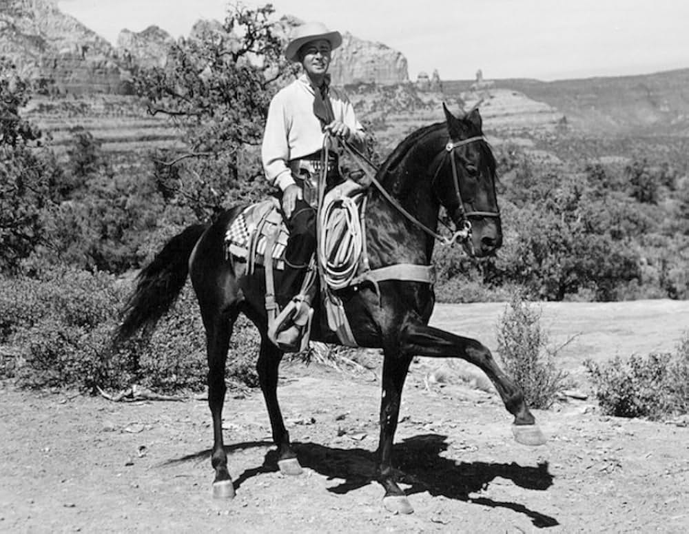 太鼓の響きの画像