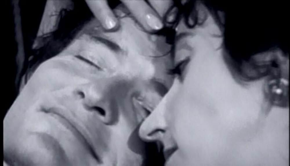 「ヒート・アンド・サンライト」の画像