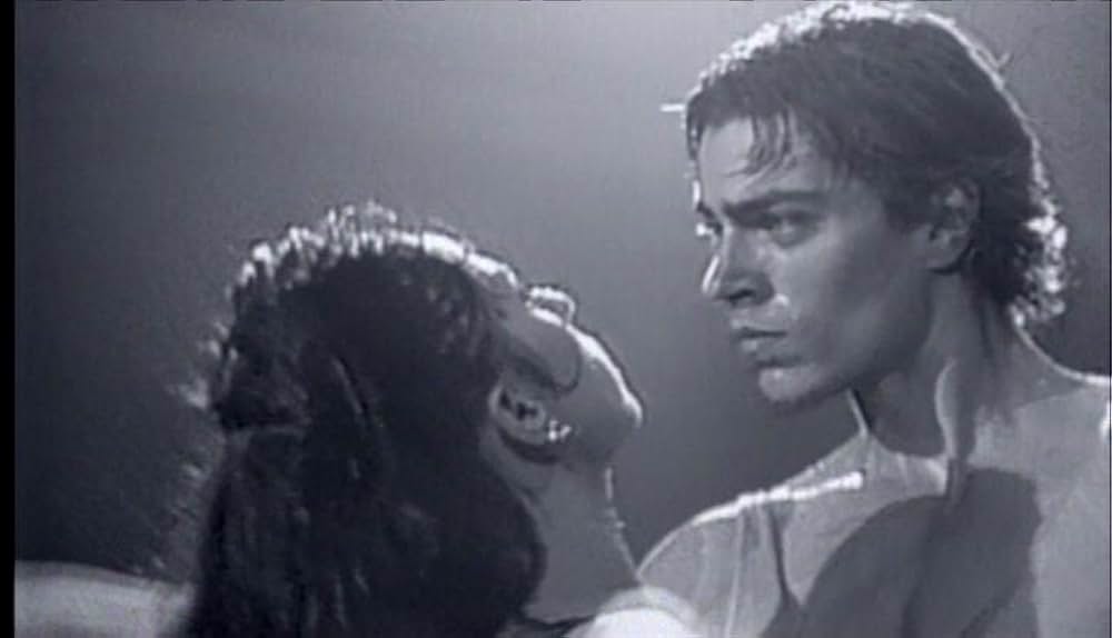 「ヒート・アンド・サンライト」の画像